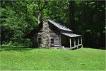 cook cabin renovation